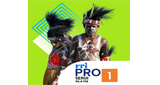 Logo RRI Pro 1 - Serui