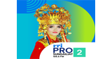 Logo RRI Pro 2 - Sungailiat