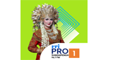 Logo RRI Pro 1 - Sungaipenuh