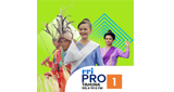Logo RRI Pro 1 - Tahuna