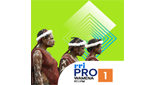 Logo RRI Pro 1 - Wamena
