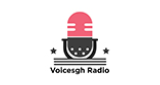 Logo Voicesgh Radio