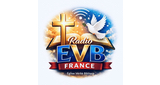 Logo Eglise Vérité Biblique