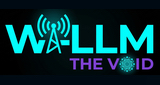 Logo W-LLM The Void