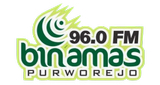Logo Radio Binamas FM