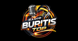 Logo Buritis top