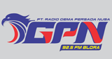 Logo GPN FM