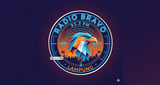 Logo Radio Bravo 93.3 Fm - Bsk Radio Network