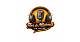 Logo Flor de Misiones fm