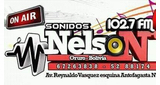 Logo Radio Sonido Nelson