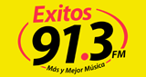 Logo Exitos 91.3