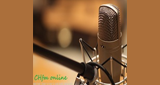 Logo CHfmonline