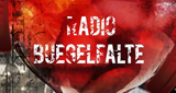 Logo Radio Buegelfalte