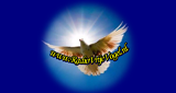 Logo RadioVrijevogel