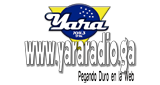 Logo Yara Radio