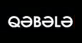 Logo Qebele Radio