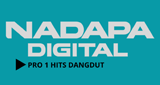 Logo NADAPA DIGITAL PRO1