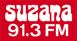 Logo Suzana 91.3 FM