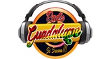 Logo Radio Guadalupe