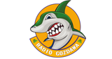 Logo Radio Gozdawa