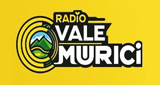 Logo Radio Vale Murici