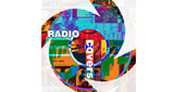 Logo Radio CIP - Covers