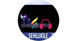 Logo Umsinga Fm