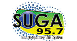 Logo Suga WSGD-LD 95.7 FM
