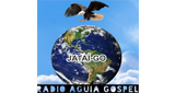 Logo Radio Aguia Gospel