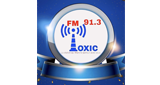 Logo Radio Toxic FM 91.3