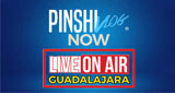 Logo Pinshivlog Now