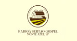 Logo Radio Saudade Gospel