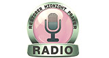 Logo Restorer Radio