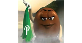 Logo P & Pz Radio