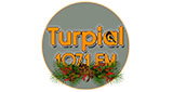 Logo Turpial