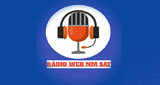 Logo Radio Web Nm Sat