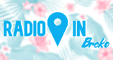Logo Radio IN Brčko