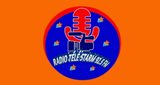 Logo Radio Télé Starm 92.5 FM