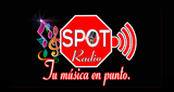 Logo Spot Radio