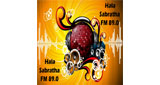 Logo Hala Sabratha