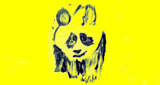 Logo Blue Panda Radio Gold