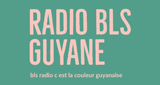 Logo behary laul sirder BLS