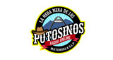 Logo La Mera de los Potosinos