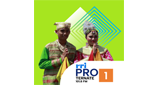 Logo RRI Pro 1 - Ternate