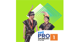 Logo RRI Pro 1 - Saumlaki