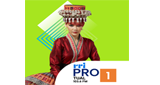 Logo RRI Pro 1 - Tual