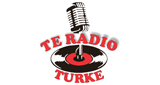 Logo TE Radio TURKE