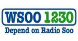Logo WSOO 1230