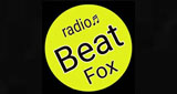 Logo Brayan fox