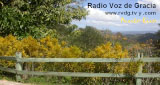 Logo Radio Voz de Gracia - Puerto Rico